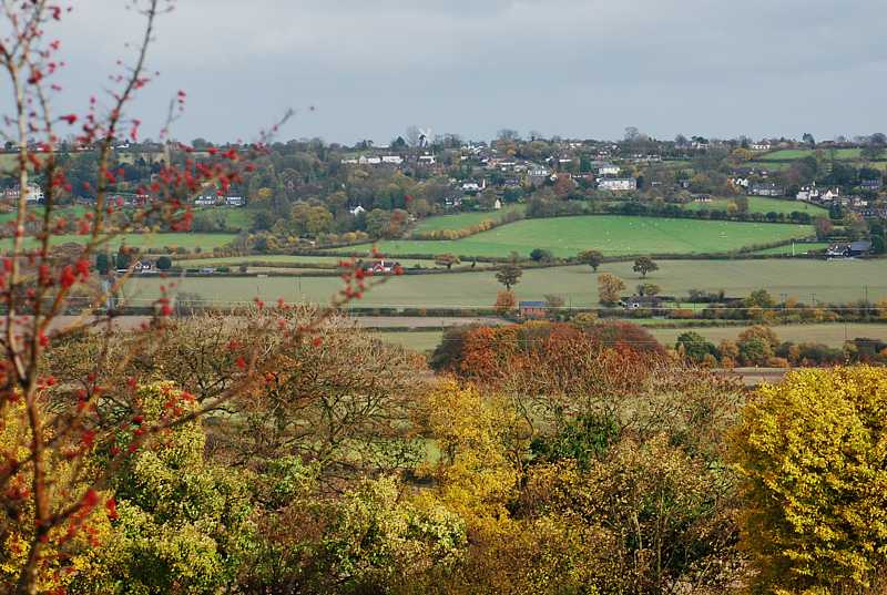 Lacey Greem Ridge