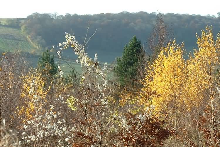 Over the valley to the south towards Bledlow Ridge.