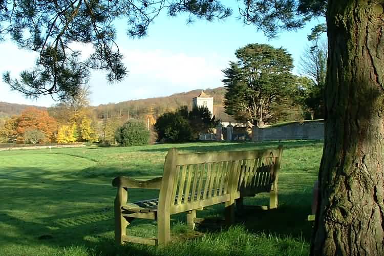 St Botolph's Church and the woods below Walter's Ash