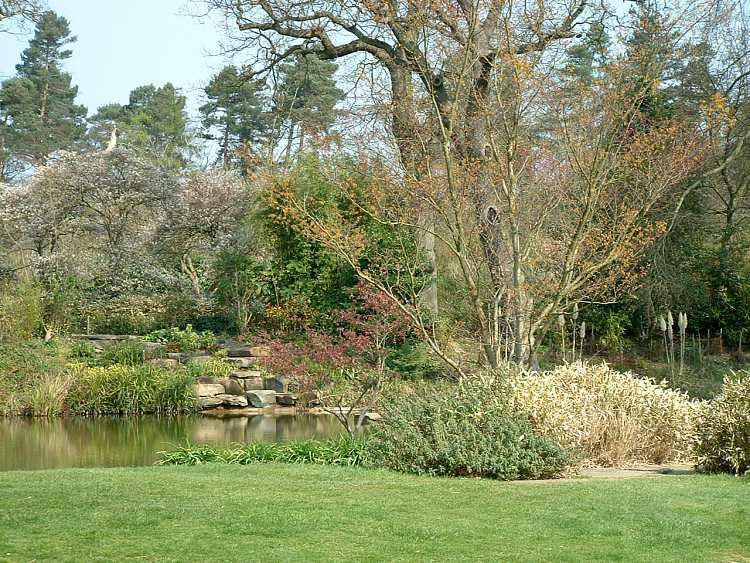 Gardens at Cliveden House