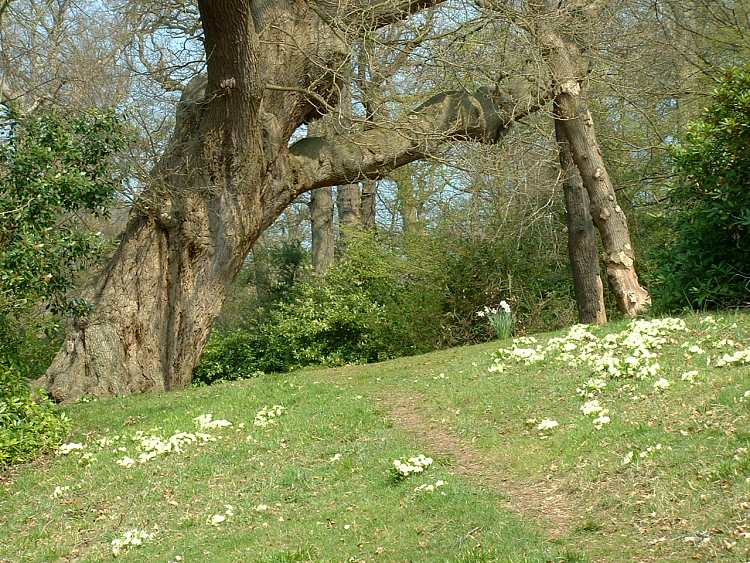 Gardens at Cliveden House