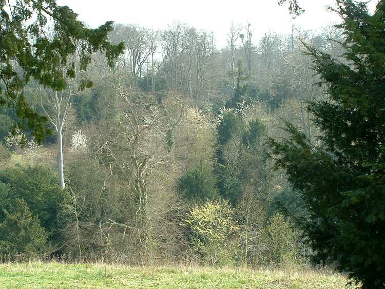 Gardens at Cliveden House