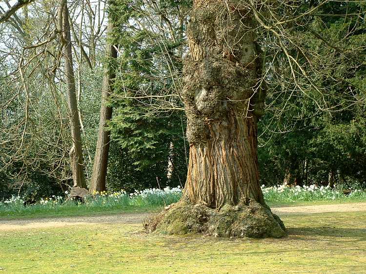 Gardens at Cliveden House