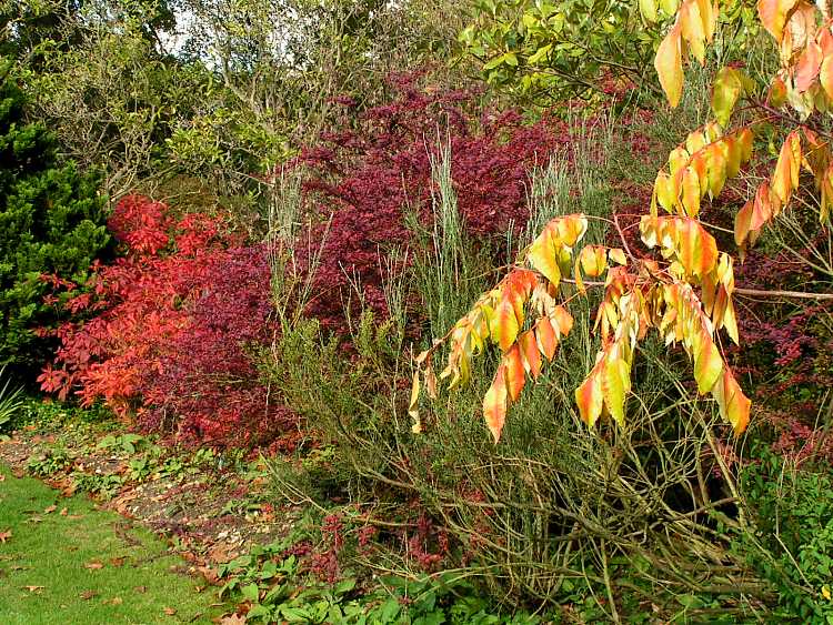 Cliveden House Gardens