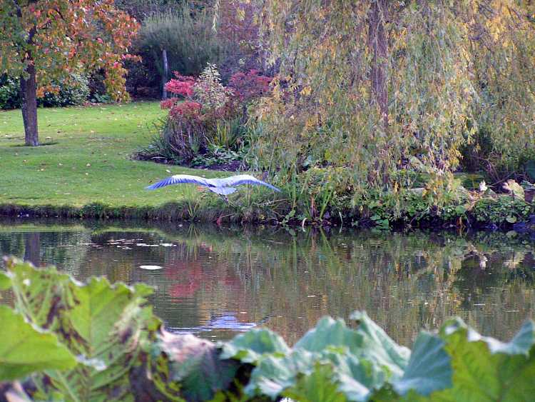 Cliveden House Gardens