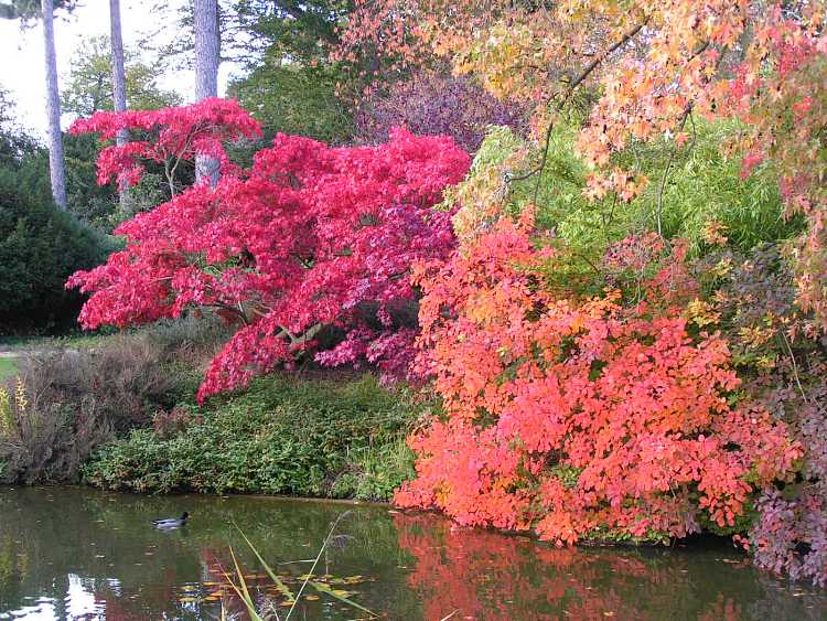 Cliveden House Gardens