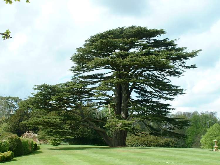 Farnborough House, Oxfordshire