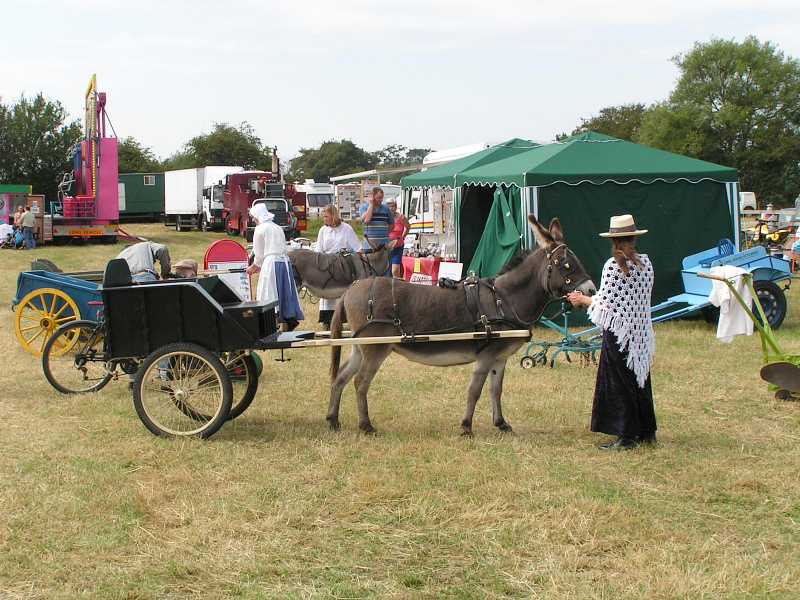 Donkey cart at Great Bucks Steam Rally