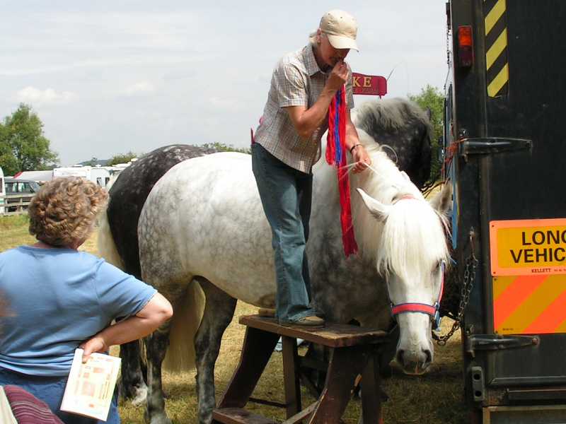 Horses at Great Bucks Steam Rally