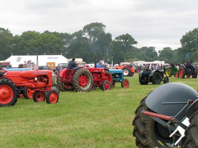 Vintage Tractors