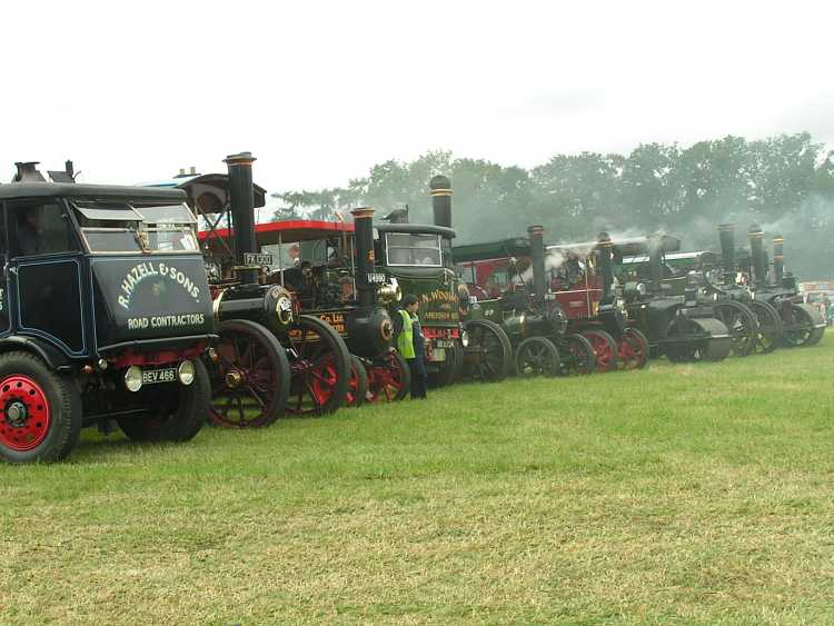 Line up of traction engines
