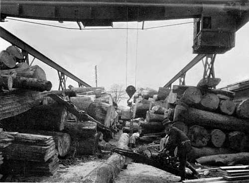 Cross-cutting logs under the Gantry