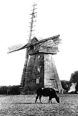 Lacey Green Windmill. A postcard via Joan D.Moore
